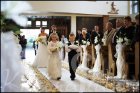 Kraina �lub�w - kompleksowa organizacja