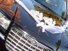 Toplimuzyna - auto na ślub
