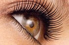 My Lovely Lashes