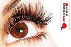My Lovely Lashes
