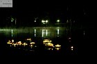 Dekoracje - Coordino Studio