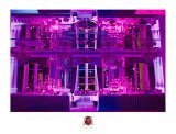 Royal Day - Wedding&Event Agency