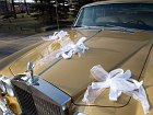Stylowy z�oty Rolls Royce Shadow z bia�ymi sk�rami