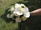FloraDecoLine