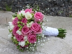 FloraDecoLine