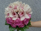 FloraDecoLine