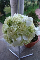 FloraDecoLine
