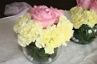 FloraDecoLine