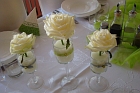 FloraDecoLine