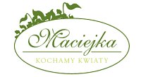 Pracownia Florystyczna Maciejka