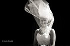 Splendid - Event Management
