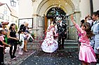 Splendid - Event Management