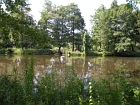Pałac w Opypach